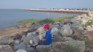 WANTED....a voice and a friend