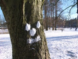 Snow Tree image.jpg