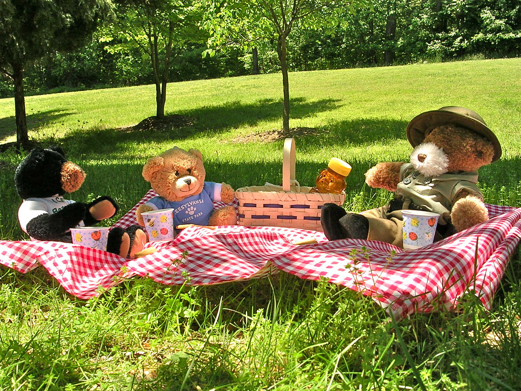 Picnic.jpg